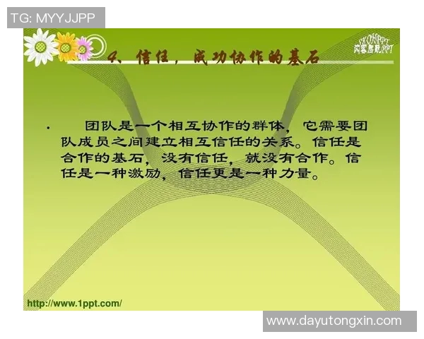 西安排球队的团队协作与战术配合深度分析与探讨