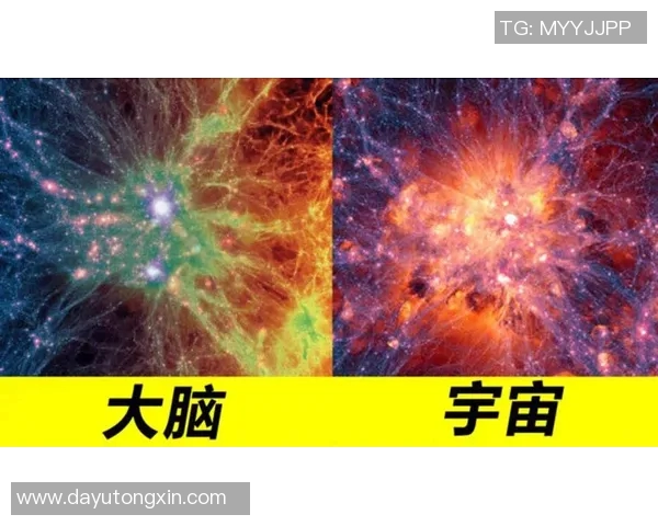 防御正义与阿独立直播的较量探讨与思考